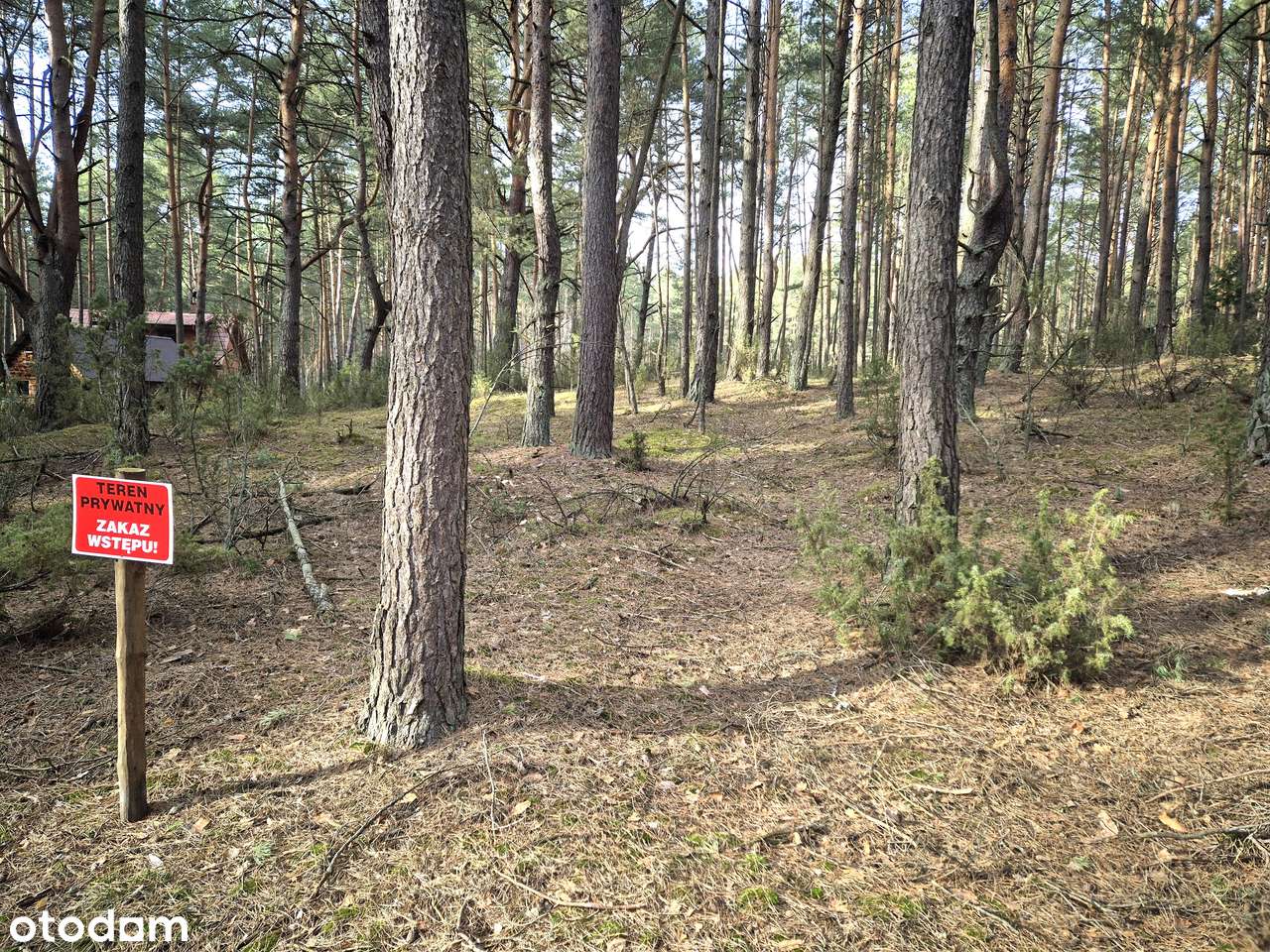 Cicha działka leśna. Popowo Letnisko. Serock. Zalew Zegrzyński. MPZP. - Pełny obrazek: 4/8