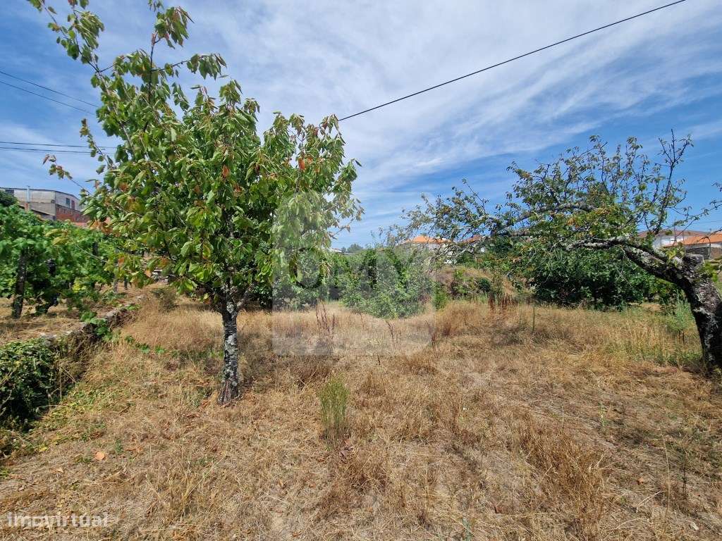Terreno plano de 830 m² em Abaças, Vila Real-6