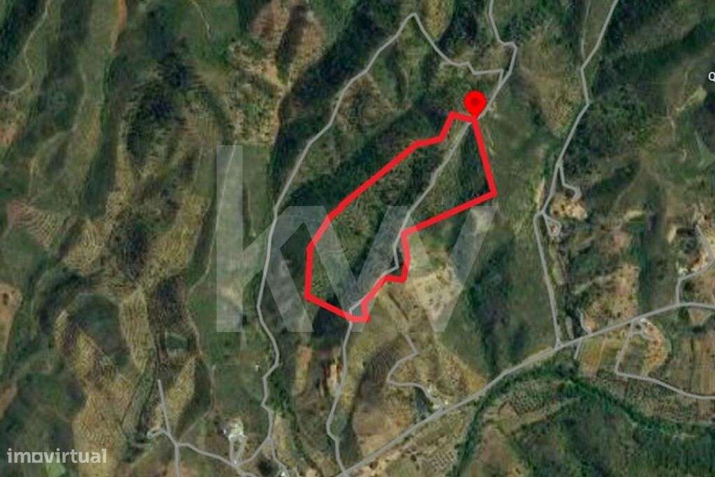 Terreno Rústico com 82860 m2 sito em Matosos, São Bartolomeu de Messin - Grande imagem: 3/3