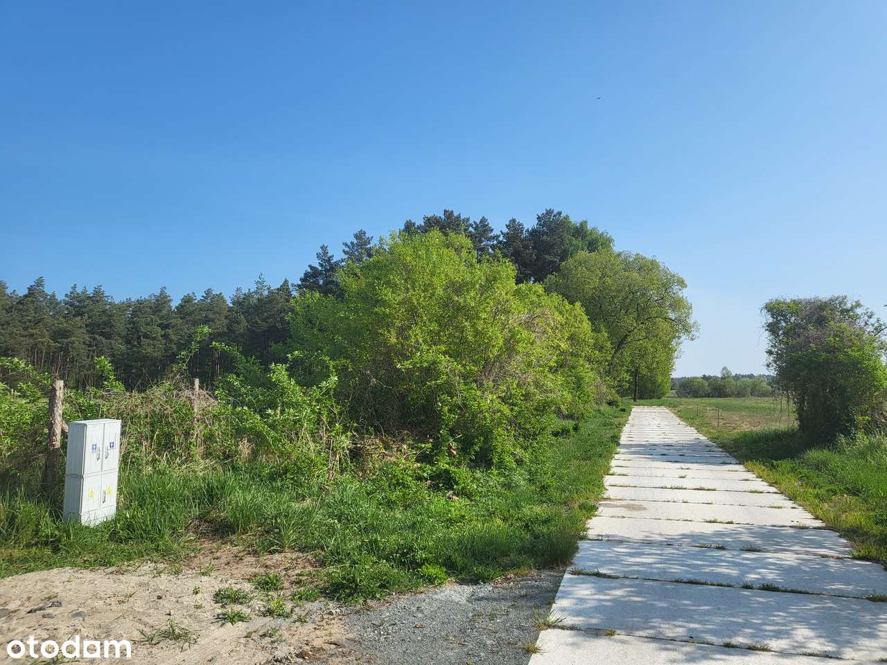 Działka 935 m2 z warunkami zabudowy - Stepniczka - Pełny obrazek: 4/7