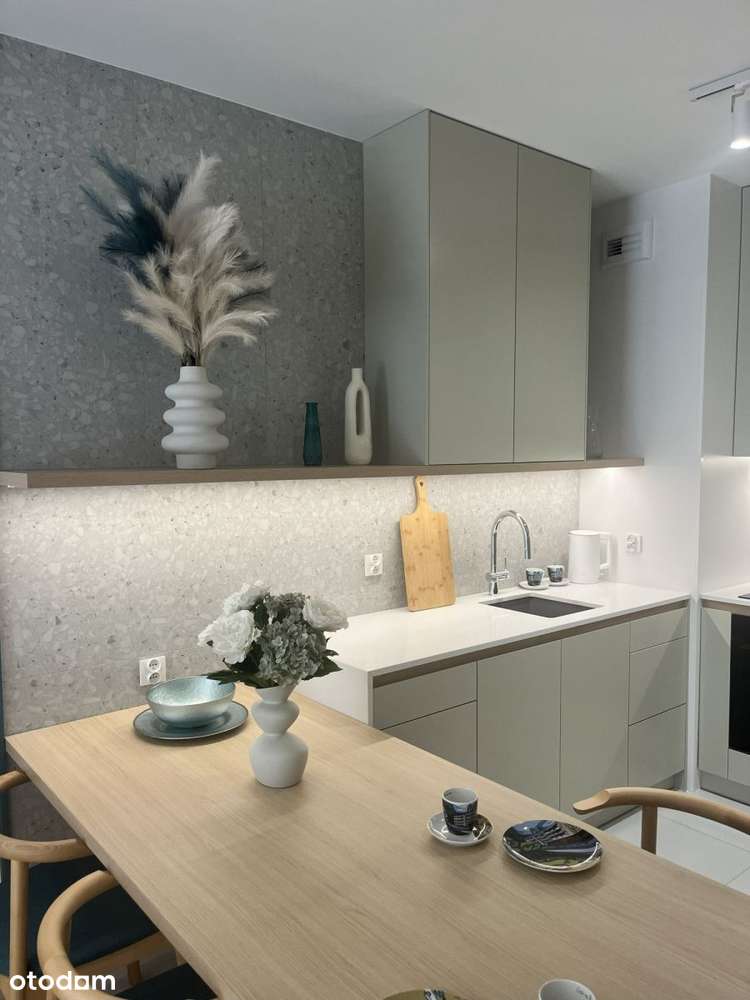 Gotowe do wynajęcia, sprzęt Agd, centrum, bez prow-0