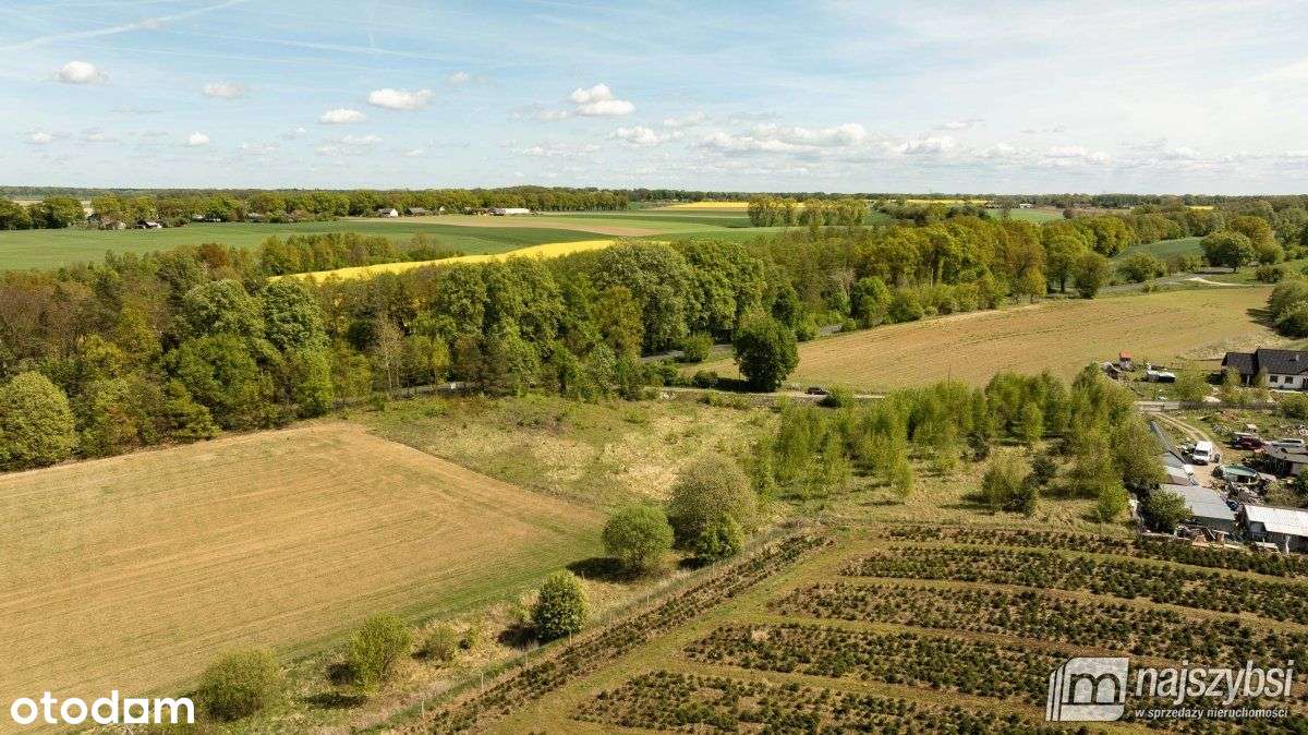 Tarnowiec - duża działka 4225m2 z warunkami - Pełny obrazek: 4/12