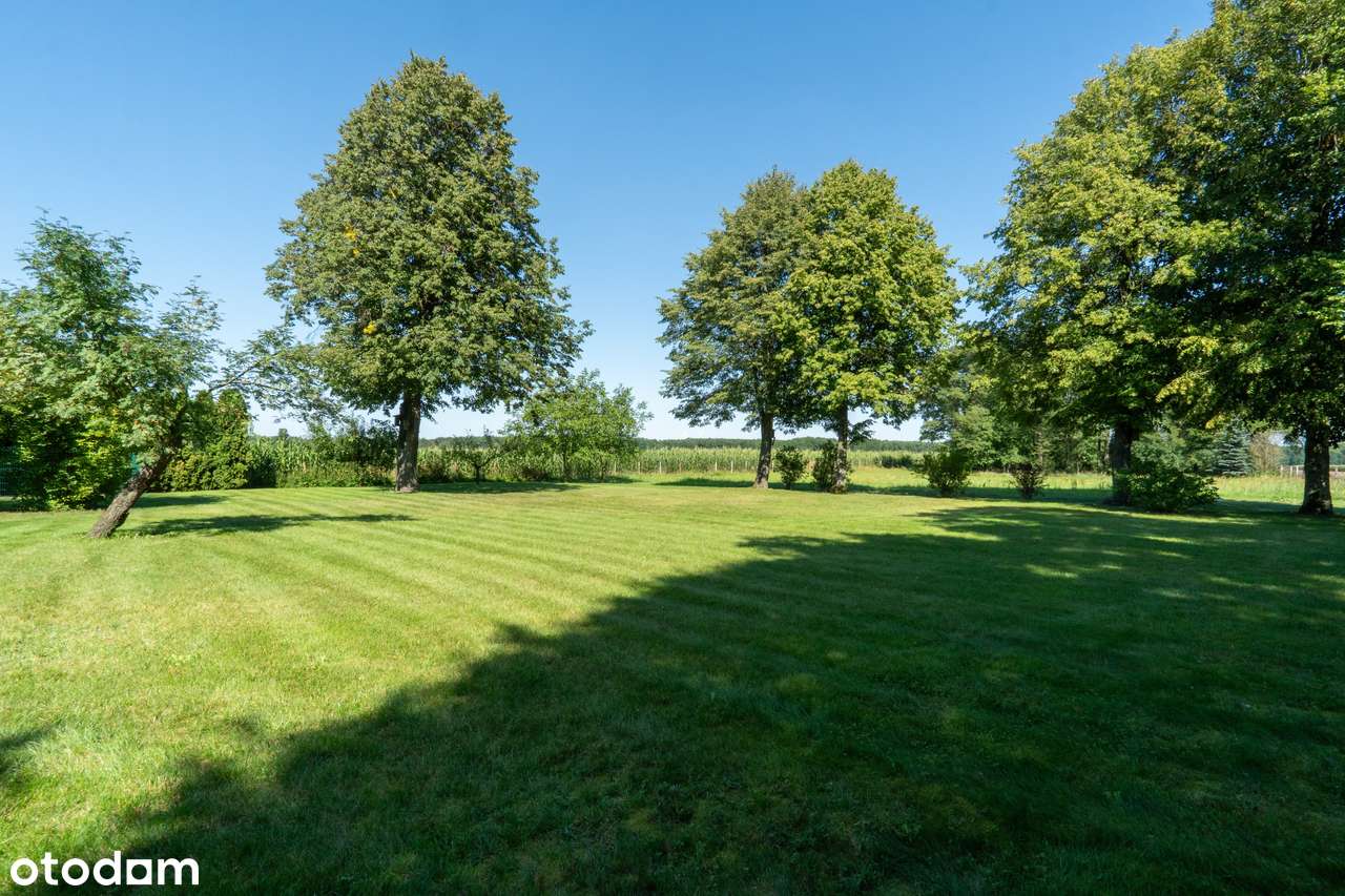 Dom marzeń z dużą działką obok zalewu w Czarnocinie - Pełny obrazek: 4/19