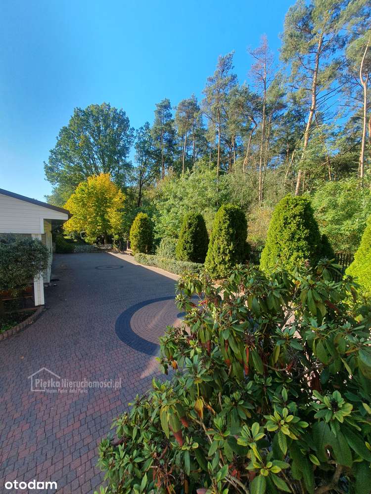 Dom 340m2 przy Puszczy Kampinoskiej + budynek usługowy 280m2-11