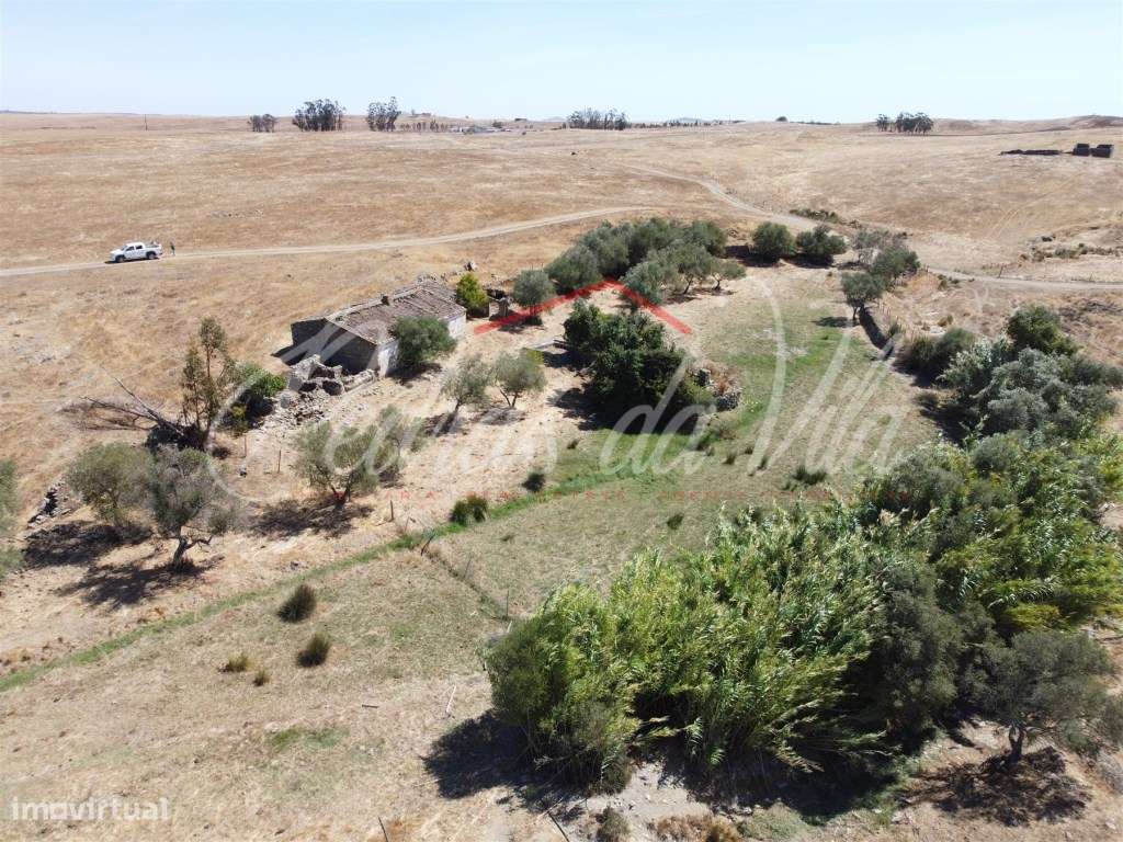 Propriédade de 119ha com varias ruinas - Castro Verde-12