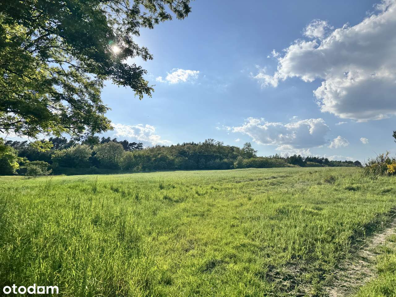 Działka  w Okuninie - Pełny obrazek: 5/5