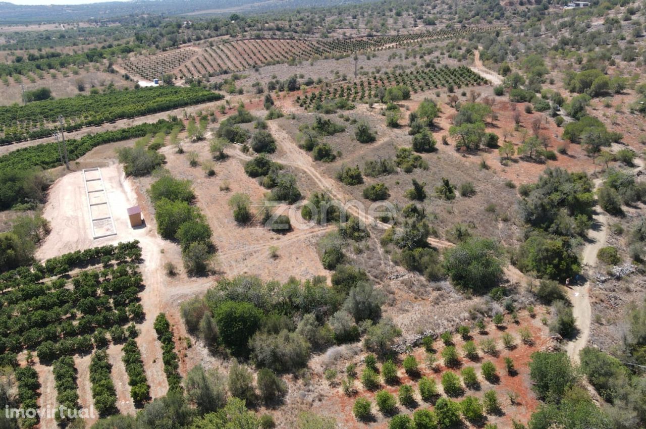 Dois Terrenos rústicos em Messines, Alfarrobeiras c/ 2.080m2