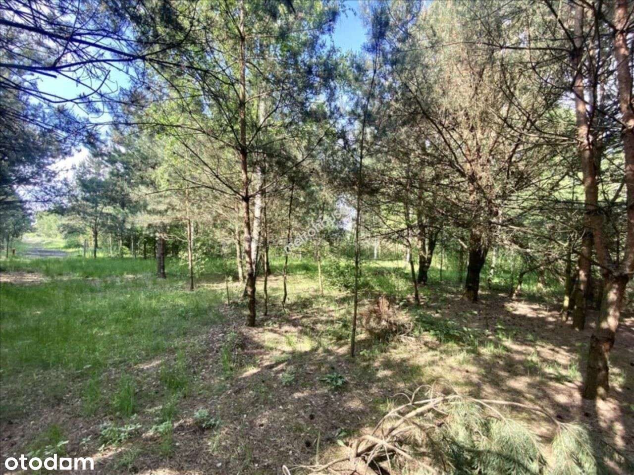 Działka, 800 m², Kownaciska - Pełny obrazek: 4/11