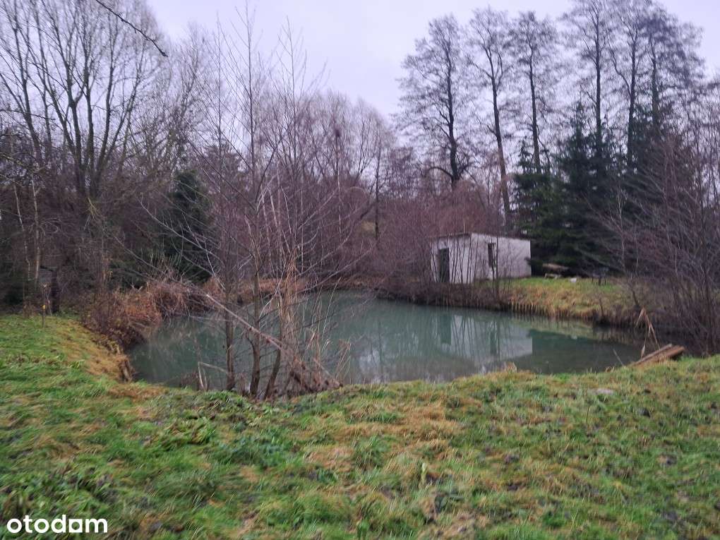 Dom, okolice Barcina, 170 m², duża działka 3000 m² i stawem rybnym-13