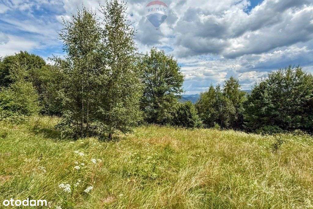 Nieruchomość gruntowa z widokiem na Gorce - Pełny obrazek: 4/5