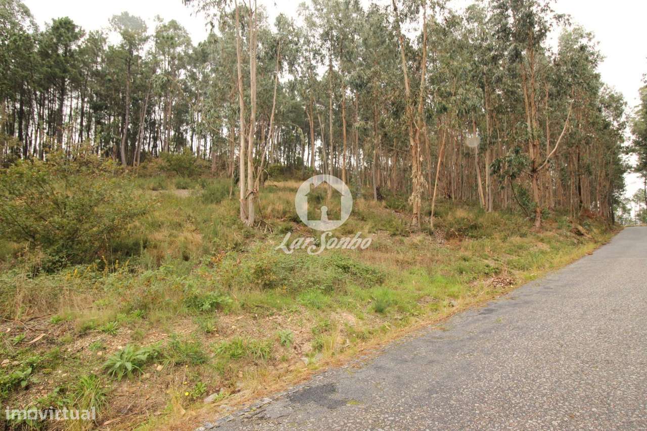 Terreno Agrícola com Excelente Localização  3.300 m² - Grande imagem: 2/11