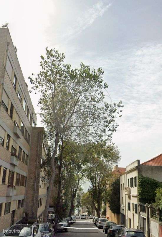 Apartamento T3 para arrendamento - Grande imagem: 4/39