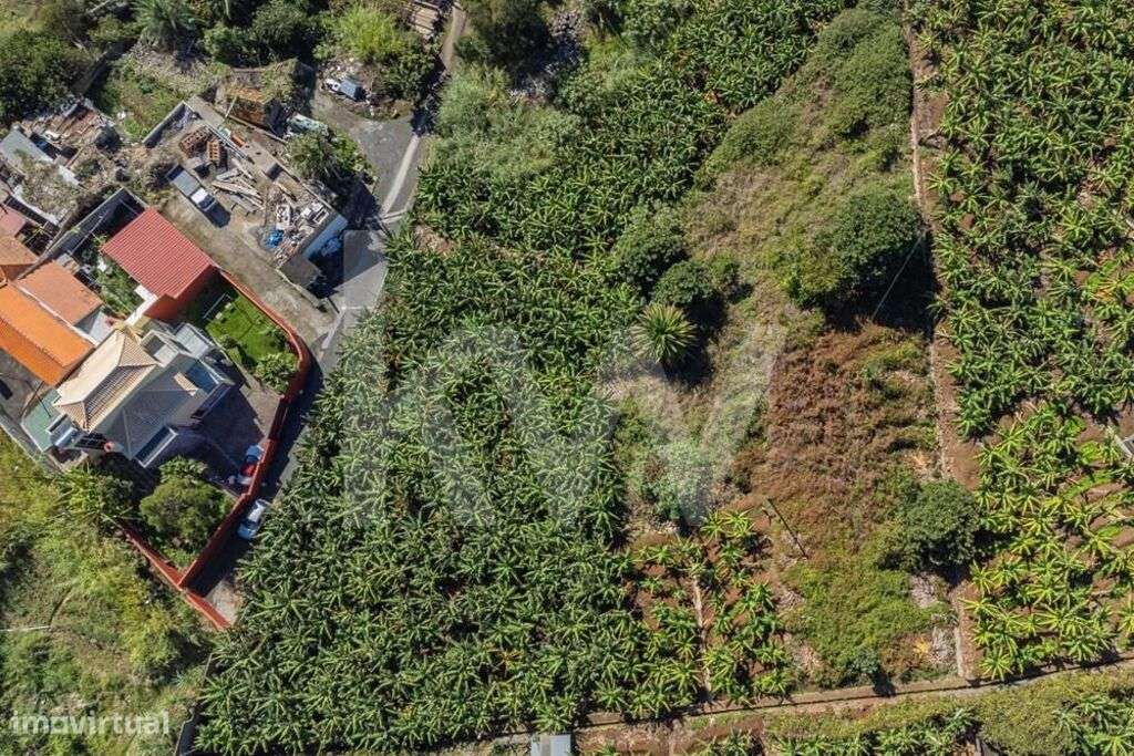 Terreno Urbanizável - 850m2 - São Martinho | Funchal - Grande imagem: 5/24