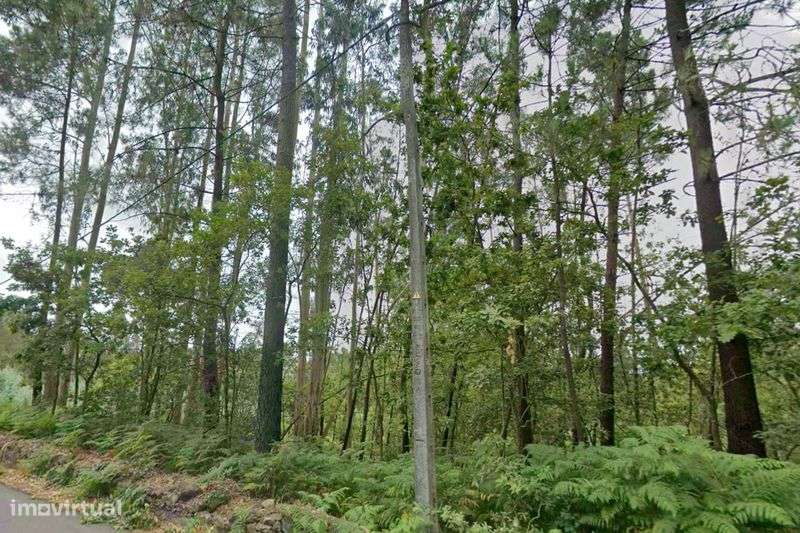 VENDA/ALUGUER Conjunto de 2 Terrenos Rústicos Contíguos - Grande imagem: 4/4