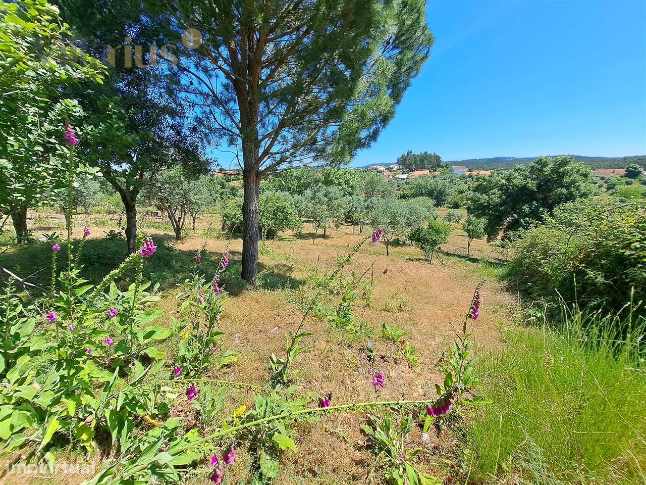 Terreno Urbano com Vista e Acesso Rápido a Tomar | Villarius Imobiliár-23