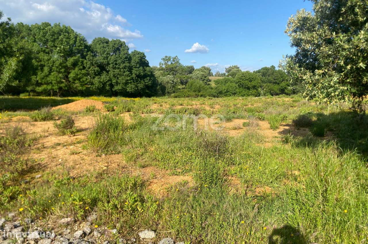 Terreno Industrial com 8200m2 para Venda - Grande imagem: 4/7