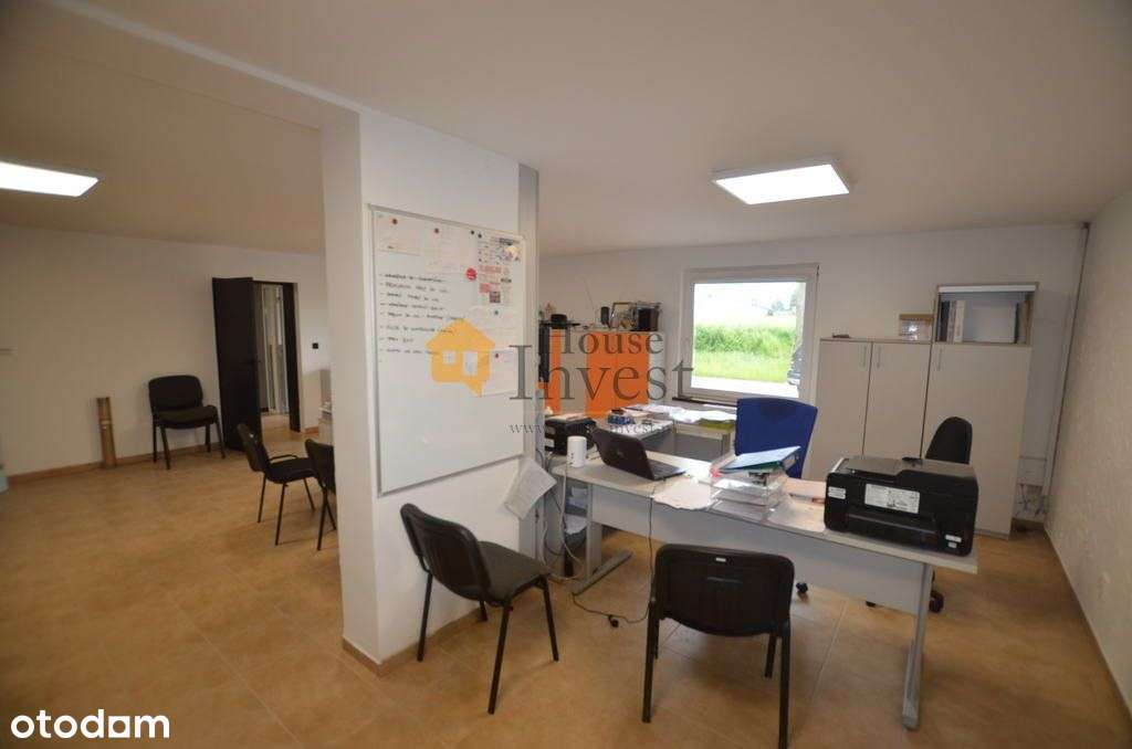 Hala Prod.-Mag. / A4 S3 Legnica / Najemca Roi 8,55 - Pełny obrazek: 5/20