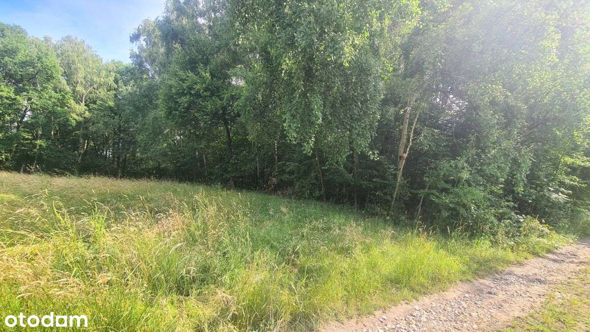 Działka rekreacyjna w cichej okolicy-7