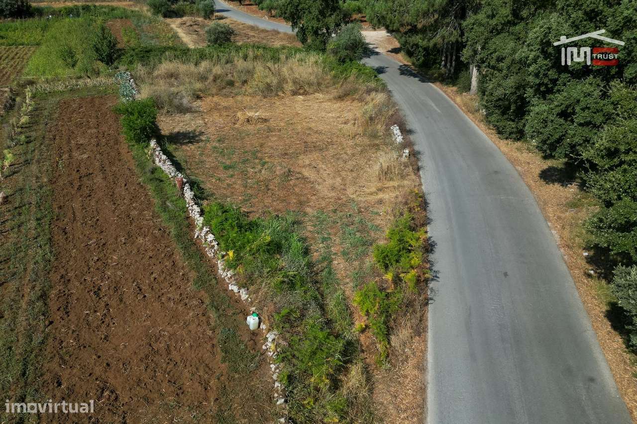 Terreno Rústico em Boleiros, Fátima - Grande imagem: 4/6
