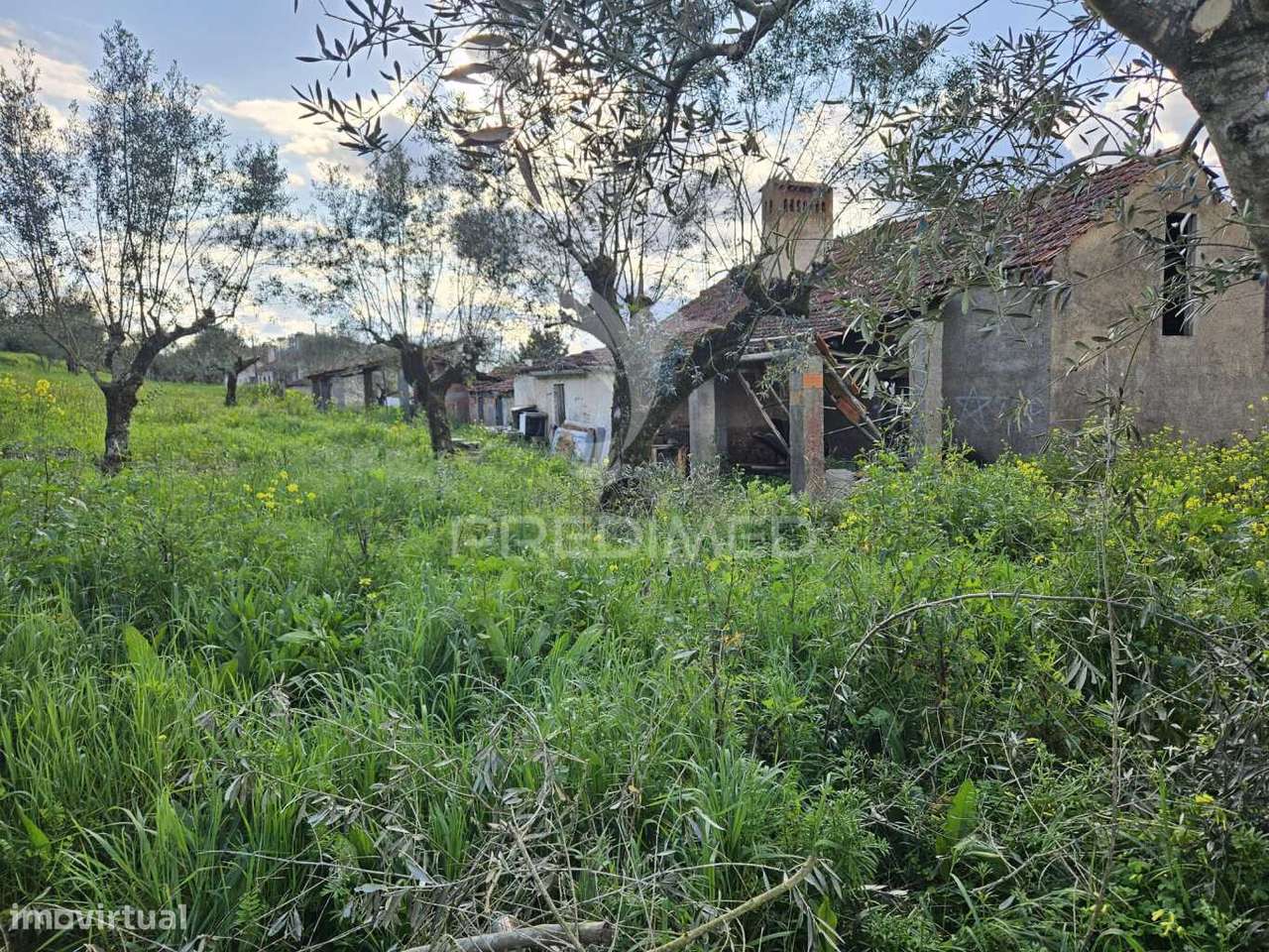 Moradia próxima praias fluviais - Grande imagem: 4/15