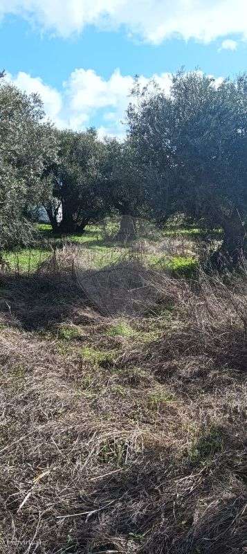 Terreno  para venda - Grande imagem: 2/3