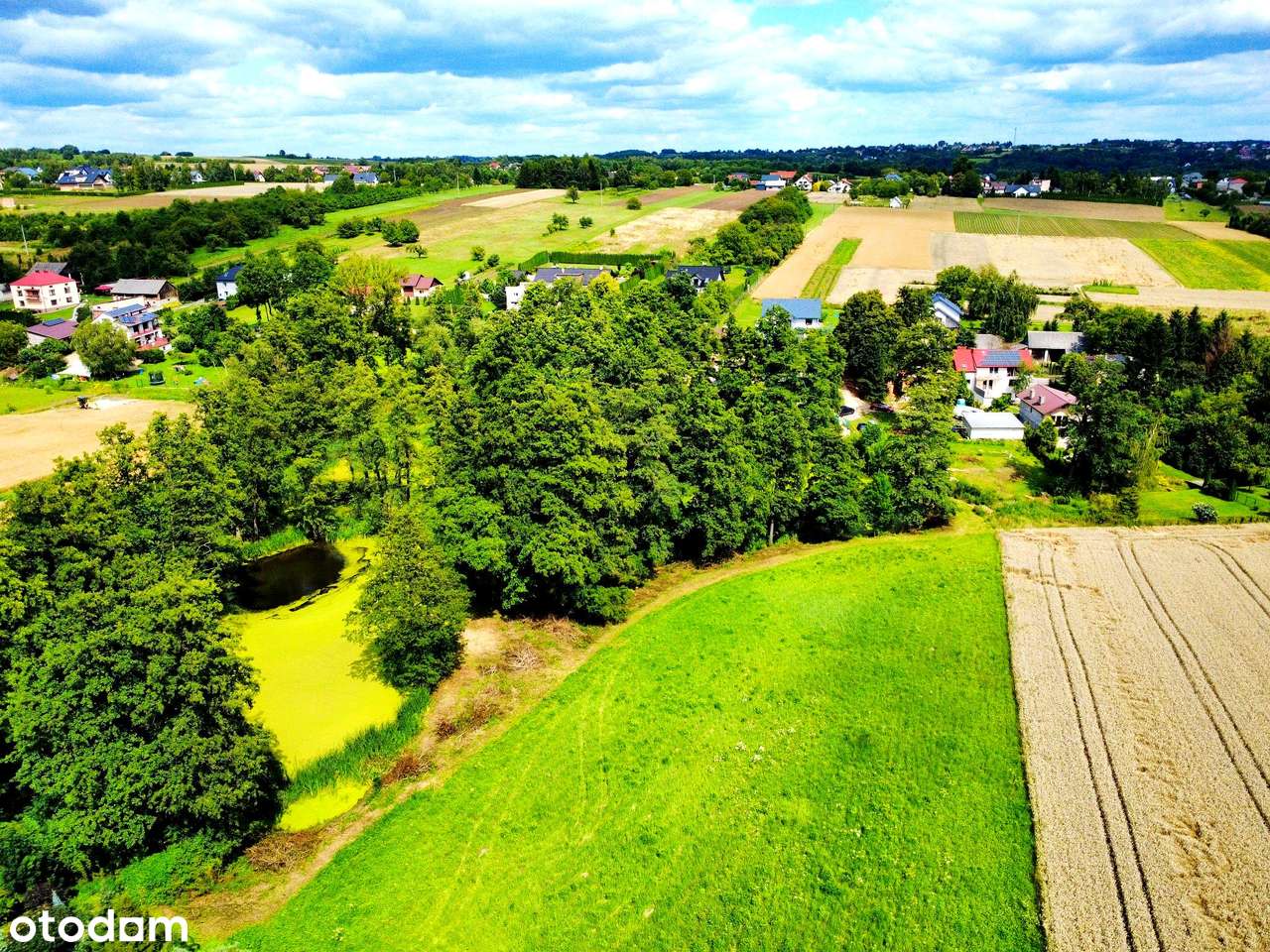 Wyjątkowa działka 81 ar | Przybysławice | staw, zieleń, media, MPZP-15
