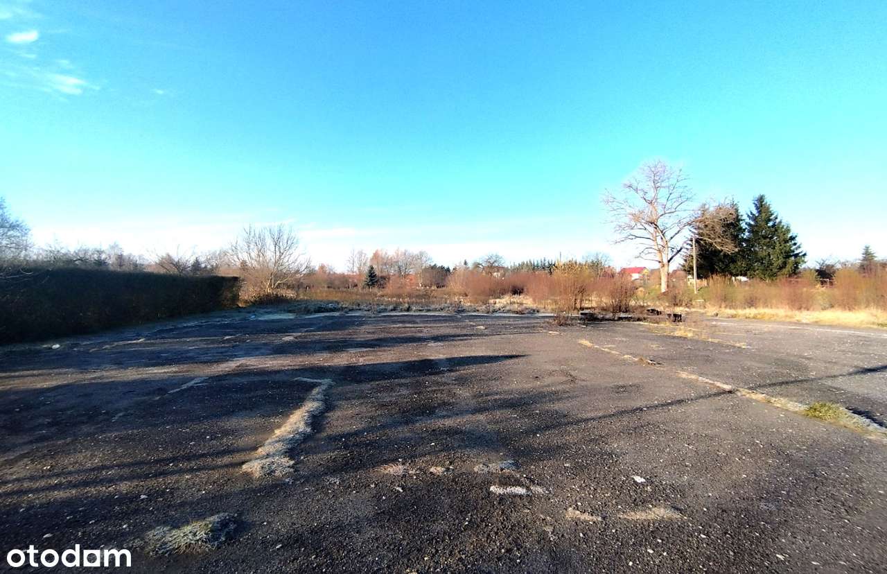 DZIAŁKA INWESTYCYJNA W CHOJNOWIE - Pełny obrazek: 4/4