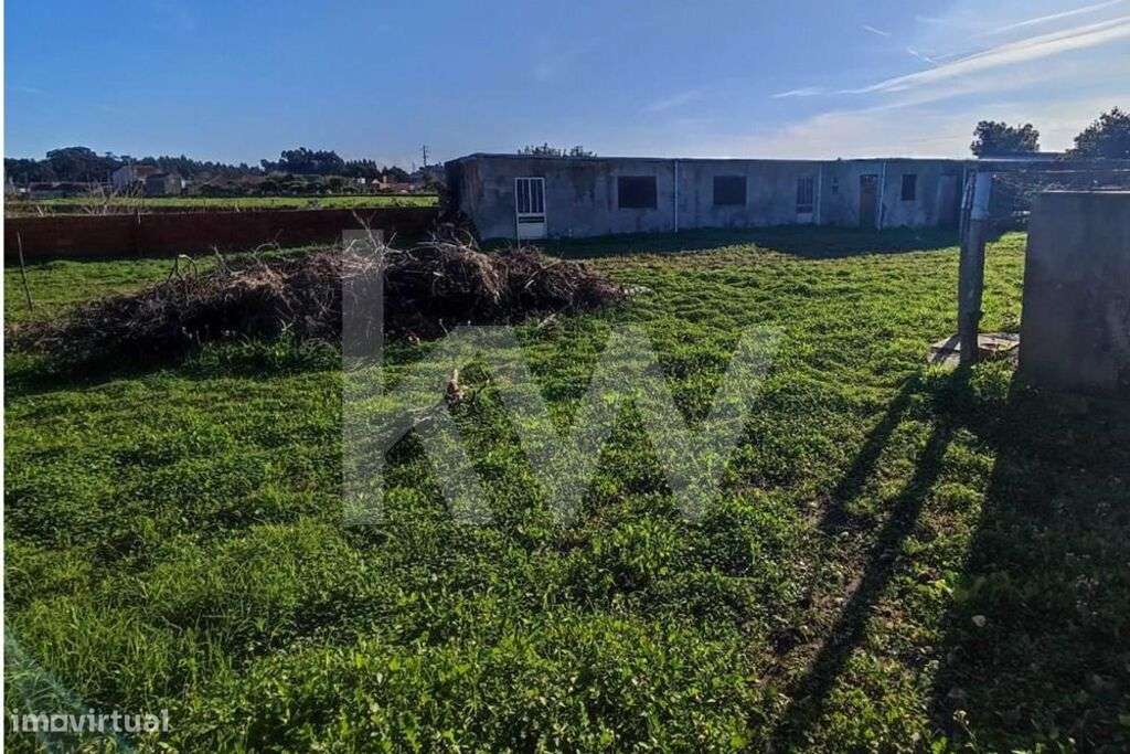 Lote de Terreno Urbano com 1276m2- Entre Cacia e Paço - Grande imagem: 4/8