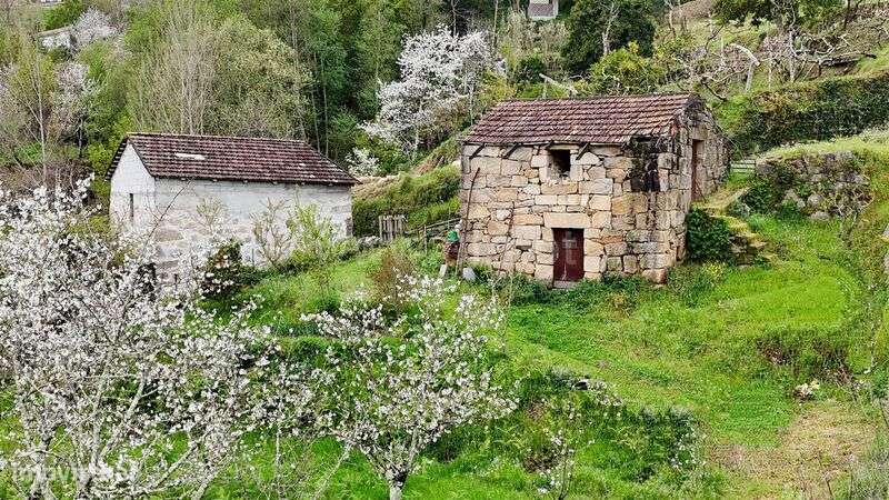 Quintinha / Cinfães, Santiago de Piães - Grande imagem: 5/17