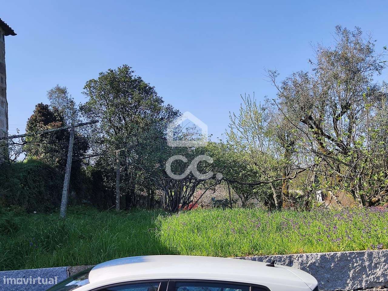 Quinta, Termas de São Vicente, Penafiel-3