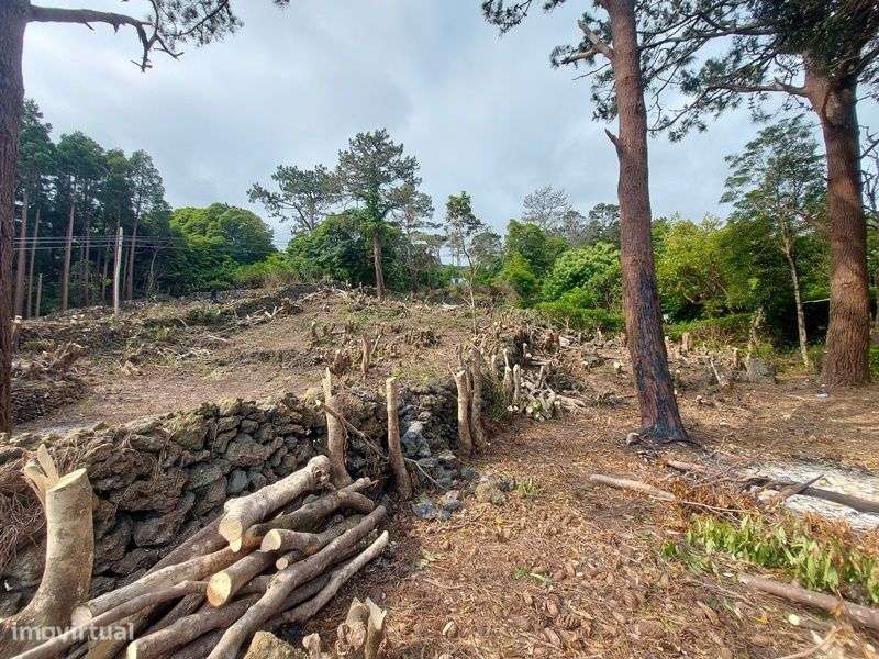 Terreno fabuloso na Prainha de cima- azores - Grande imagem: 5/20