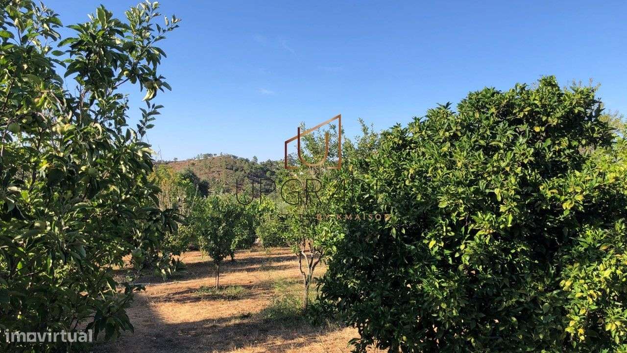 Moradia típica de 3 quartos com terreno amplo - São Brás de Alportel. - Grande imagem: 2/12