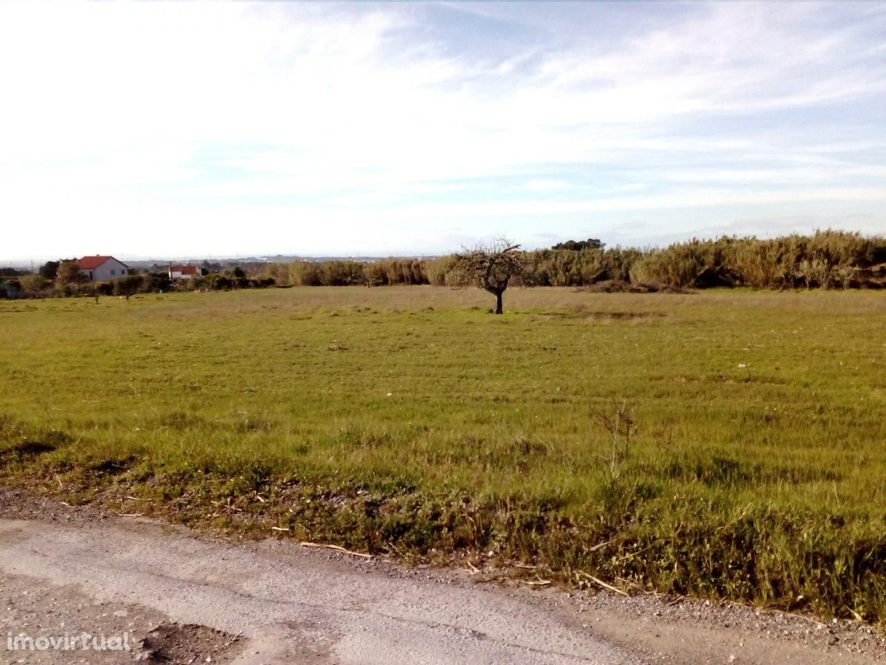 Palmela/ Cabanas Terreno com 1,5 Ha para construção de moradias.