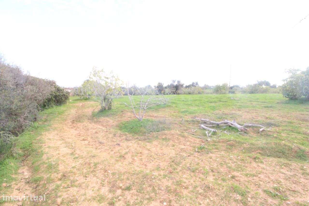 Quinta perto Amendoeiras Golfe com uma casa habitável e uma Ruina - Grande imagem: 5/8