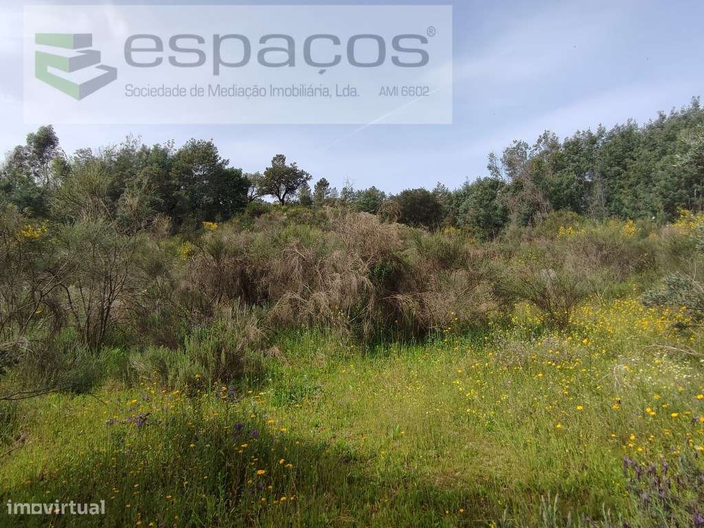 Terreno com vistas panorâmicas - Palvarinho - Grande imagem: 3/10