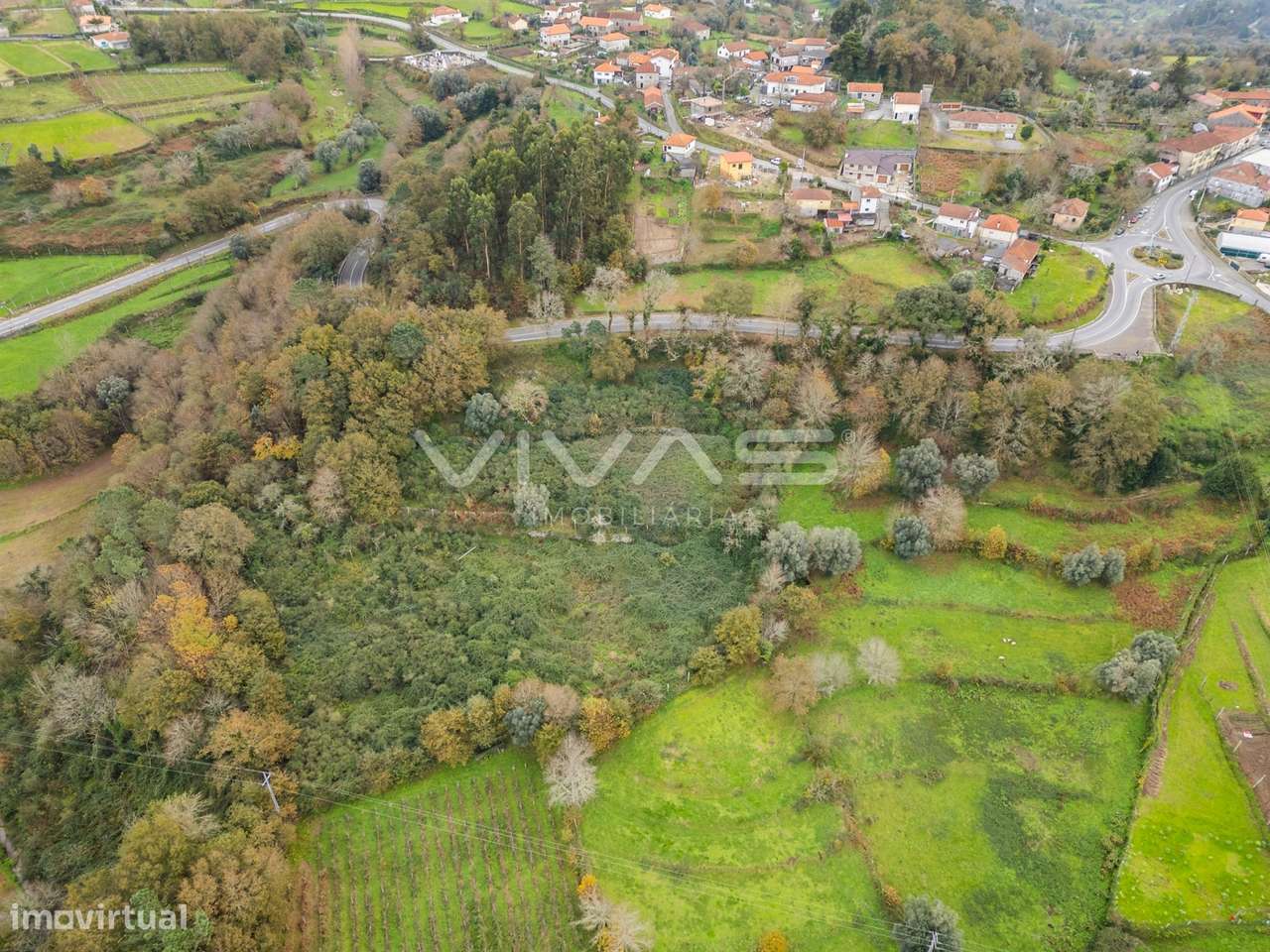 Terreno Rústico  Venda em Vade,Vila Verde - Grande imagem: 4/21
