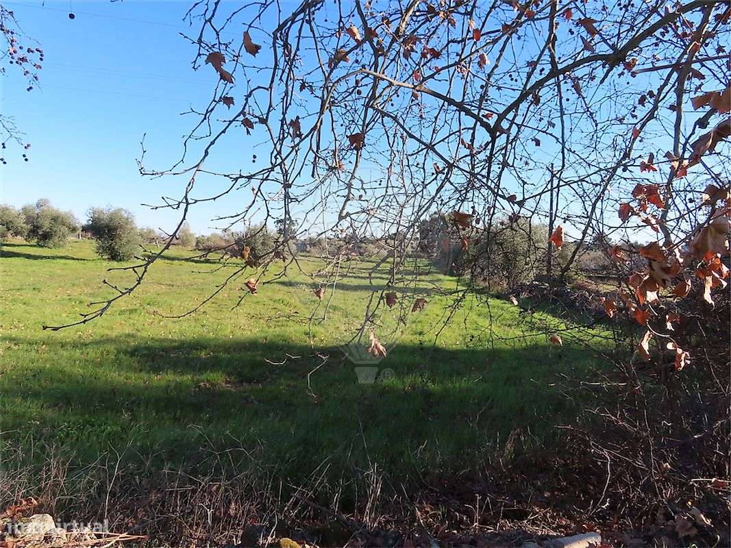 Terreno  para venda - Grande imagem: 3/7