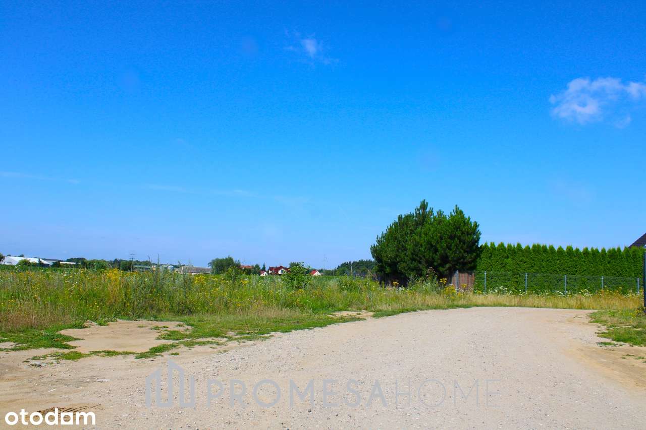 Jankowo Dolne/Gniezno działki MPZP blisko lasu SUPER CENA !!! - Pełny obrazek: 5/5
