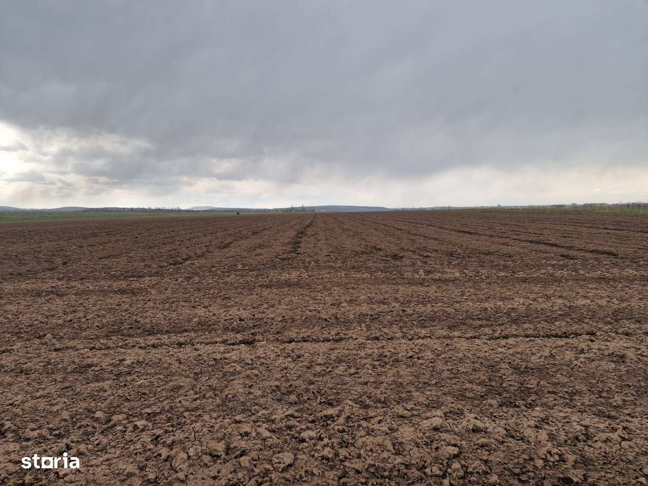 Teren 10,000mp Bacau / Strada Alexandru Safran-4