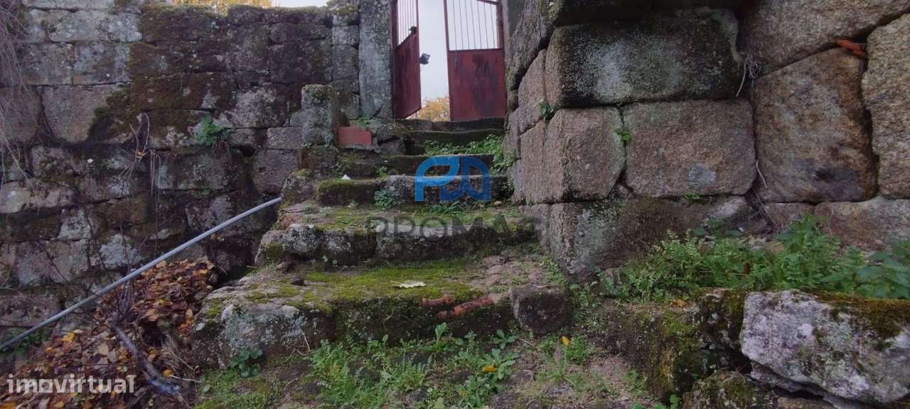 Moradia V3 para Recuperar em São Martinho de Mouros-15