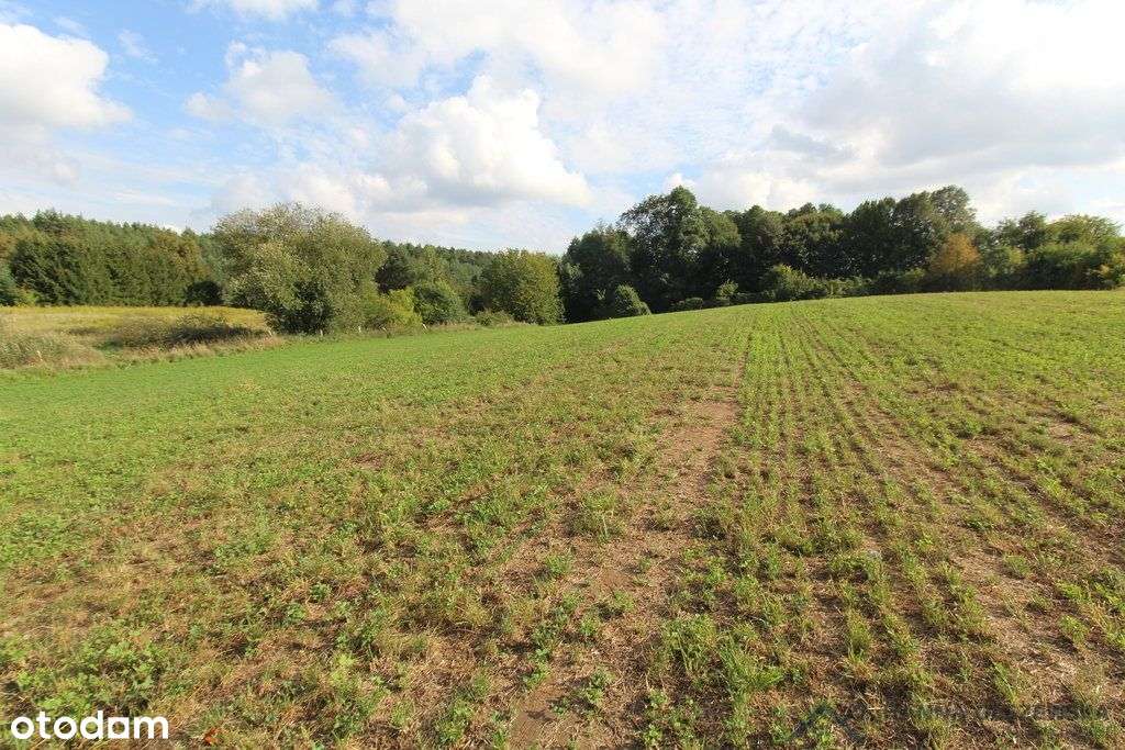 Działa przy jeziorze Łąkorz-2