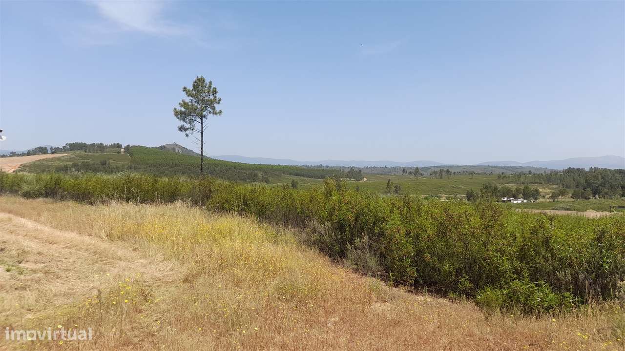 Quinta T2 Venda em Salgueiro do Campo,Castelo Branco - Grande imagem: 4/48