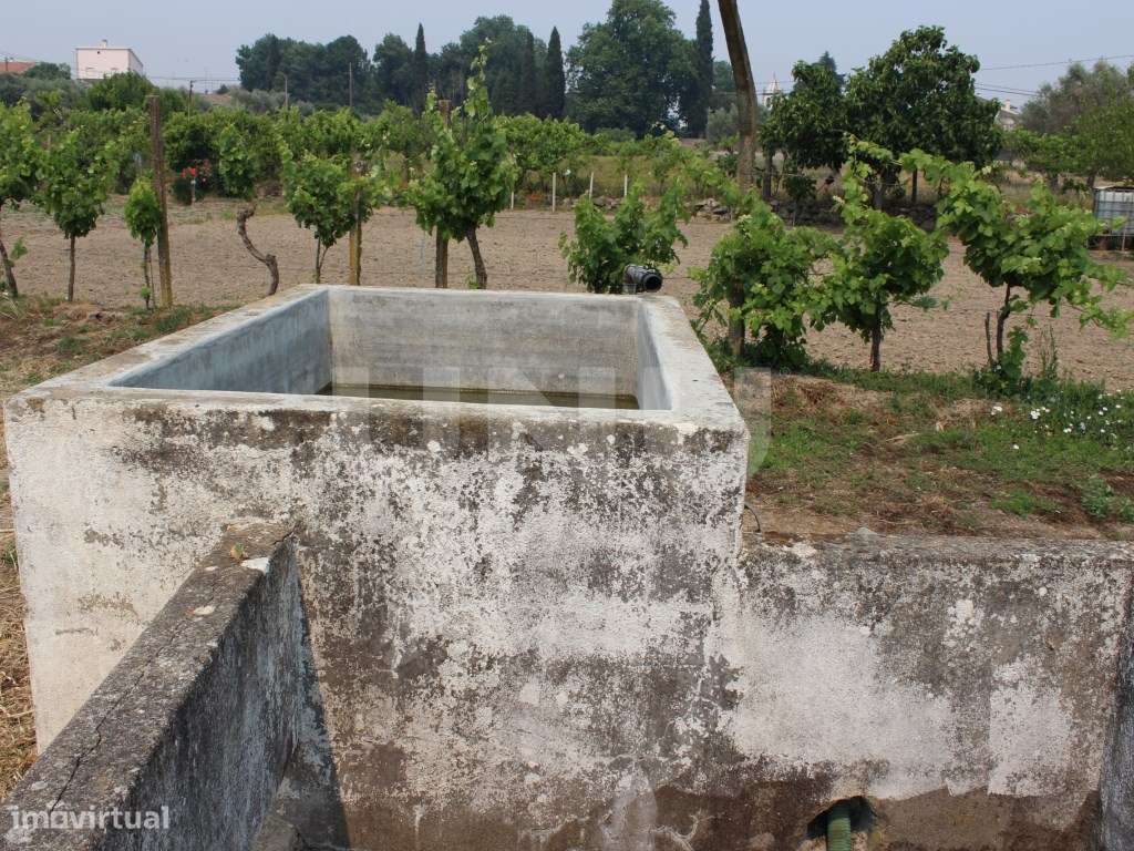 Quintinha com 1875m2 para Venda em Escalos de Cima - Grande imagem: 3/20