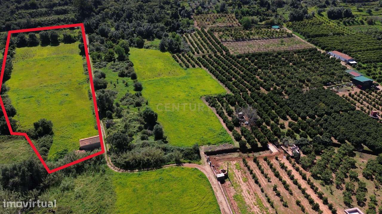 Terreno rústico em São Bartolomeu de Messines - Grande imagem: 4/6