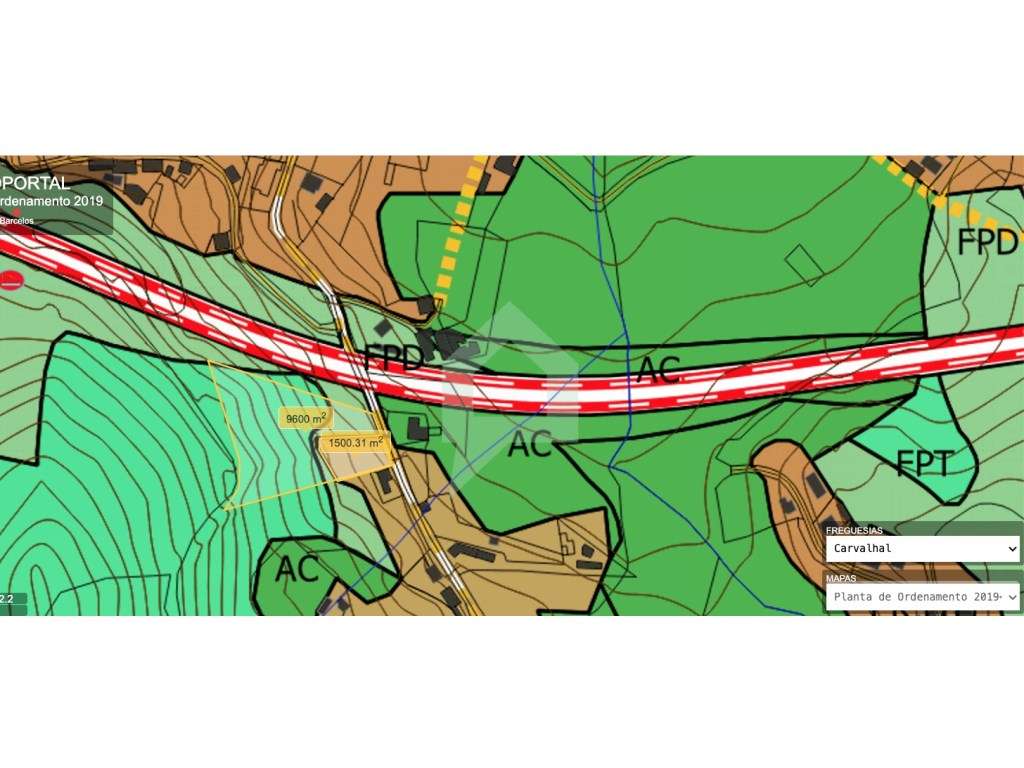 Terreno de pinhal em Carvalhal Barcelos - Grande imagem: 4/8