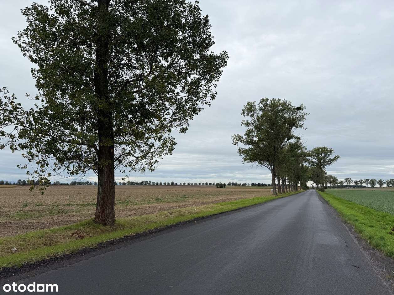 Działka w Korfantowie-2