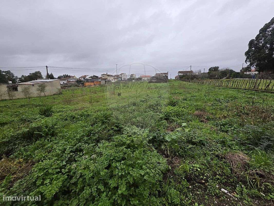 Terreno  para venda - Grande imagem: 3/6