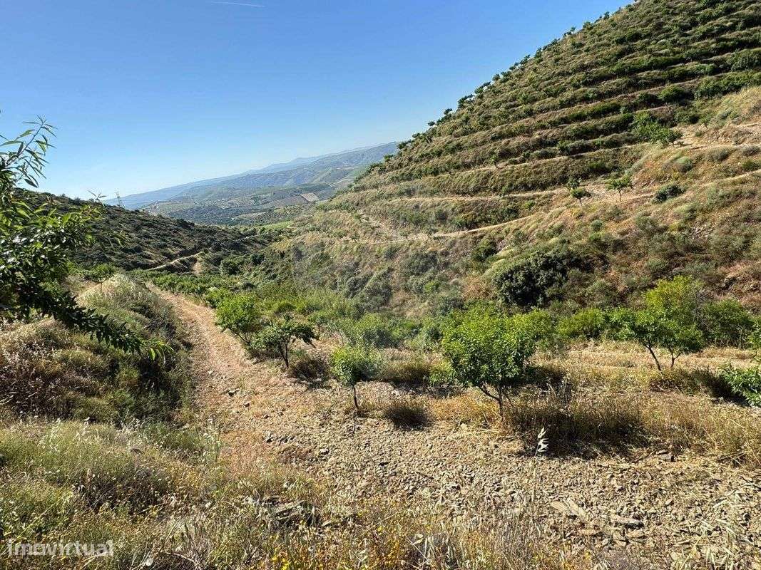 Terreno  para venda - Grande imagem: 4/11