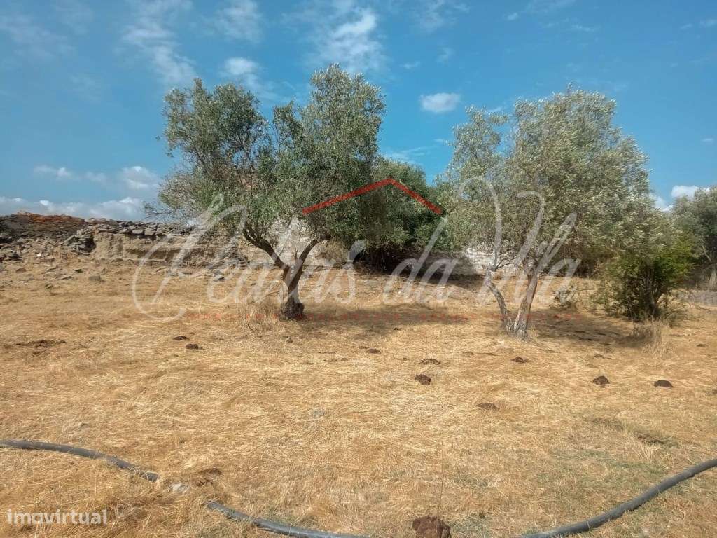 Propriédade de 119ha com varias ruinas - Castro Verde-30