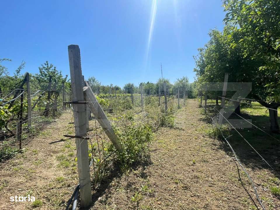 Proprietate cu casa si teren in Oradea - Imagine principală: 5/14